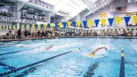 Former Michigan Swimmer Kevin Maas Runs for Michigan State Senate, Narrowly Loses Republican Primary