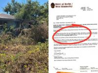 ‘Costly headache’: Investor’s shock $1.2k lawn bill