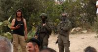 Political analyst: Settler attacks aim to expand settlements, prepare ground for annexing large parts of WB