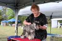 Australian shepherds take center stage in 6th annual dog show