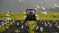 AI weather forecasts helped Telangana farmers save over Rs 53,000: World Bank