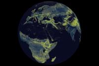Earth's vast fungal networks are unravelling fast – and scientists are scrambling to understand why