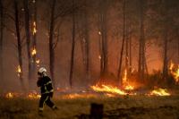 French Authorities Crack Down on Forest Fire Arson, Arresting 420 Suspects Including 166 Minors