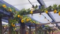 Italy comes to Gateshead as Amalfi Coast terrace opens at pub in North East's 'best place' to live