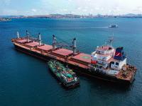 Turkish Officials Confirm Smooth Ship Transit to Black Sea Amid Security Concerns