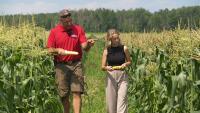 Quebec farmers enjoying profitable season despite falling corn prices