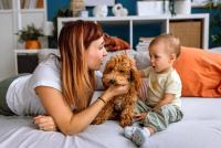 Researchers Use Crispr to Create Beagles That May Help Reduce Dog Allergies