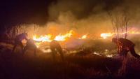 Indonesia blocks access to Mount Bromo amid wildfire