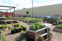 A Late-Summer Urban Garden Party