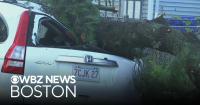 Springfield, Massachusetts cleaning up from damage potentially caused by microburst