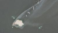 Wrecked Tanker Continues Uncontrolled Oil Discharge off Oman