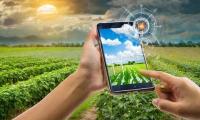 AI weather forecasts save TG farmers up to $560: World Bank