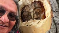 'Felt like I was Indiana Jones': Taku River Tlinigit elder has uncovered tree carving he made decades ago
