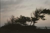 WEATHER WARNING: Strong winds set to hit KZN South Coast