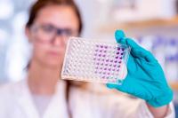 Costa Rica Reports Renewed Increase in COVID-19 Cases