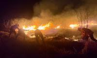 Indonesia closes national park as wildfire burns 176 hectares on Java