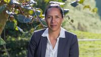 New $48m kiwifruit programme aims to grow yields sustainably