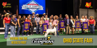 Sale of Champions raises $396,500 to close out 2026 Ohio State Fair