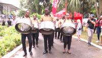 National Trust Celebrates World Steel Pan Day At Mille Fleurs