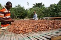 Next NPP government will not cut cocoa producer price – Isaac Yaw Opoku