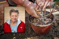 Not every gardening tip comes from a bag of fertilizer