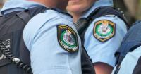 Remains found in suitcase on New South Wales roadside not human