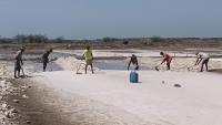 Salt manufacturers urge T.N. CM to renew licences