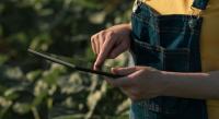Omdia: Global Tablet Shipments Decline 10% in Q2 2026 Amid Supply Pressures