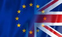 UK Could Rejoin EU Single Market in Exchange for Expanded Defense Role