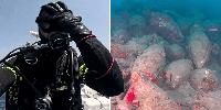 Specialist 'Art Squad' police divers despatched to bottom of the sea after 'heart-stopping' Roman marvel reemerges