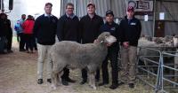 'Best ram sale ever' for Mallee Hill Merino and Poll Merino at Ceduna