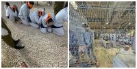 Palestinian Al-Ahrar: Death of prisoner Ihab Diab is full-fledged crime