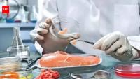 Nearly 400 food samples fail quality checks in Telangana, yet zero penalties or convictions