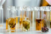 Beneath the Surface: Decoding Beauty Products