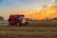 Soybean trade drives China-US farm ties