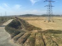 North Korea prioritizes power for munitions factories amid heat wave