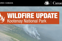 Parks Canada crews fighting small wildfire in Kootenay National Park
