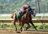 Indiana-Bred Holmby Wins Sorrento, Marks First Graded Winner for Corniche