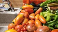 Maryland gardener's midsummer harvest sparks envy: 'Bruh, genuinely jealous'