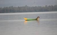 Lake Victoria at risk as Uganda oil project threatens shared Wetlands