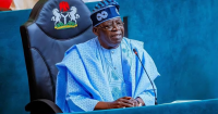 Economy in Recovery: Tinubu’s Reforms Propel MTN, Dangote, BUA, Transcorp, Seplat, Others’ H1 Revenues to N14.4trn, N4.99trn Profits