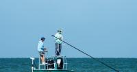 FWC sets 2026 Gulf gag grouper recreational fishing season dates