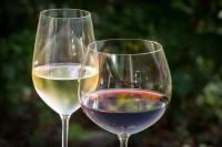 SA government signs agreement with ‘US equivalent of Dan Murphy’s’
