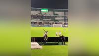 Brazilian player falls into tunnel celebrating goal