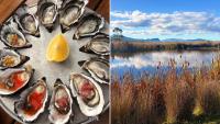 Fires, wildlife and world-class food: Tasmania’s east coast is proving winter is no longer the state’s quiet season