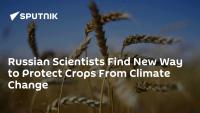 Russian Scientists Find New Way to Protect Crops From Climate Change