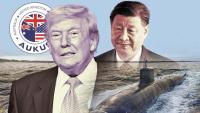 Xi Jinping fears Taiwan invasion could cost him power, never raised AUKUS with Australia, says former envoy