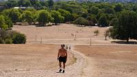 UK's fifth 36C mega heatwave will see drought declared with health alerts in place