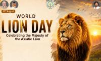Roar of Asiatic Lion Is Roar of Bharat’s Wild Heritage: Pawan Kalyan