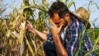 More than just crop yield: Protecting your ultimate farm asset this season